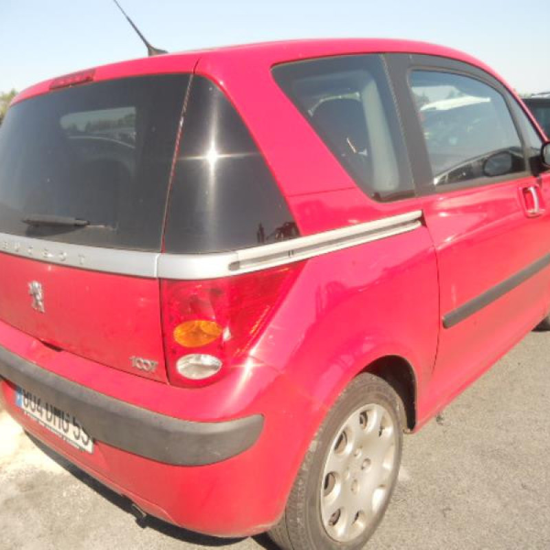 Capot PEUGEOT 1007 Photo n°4