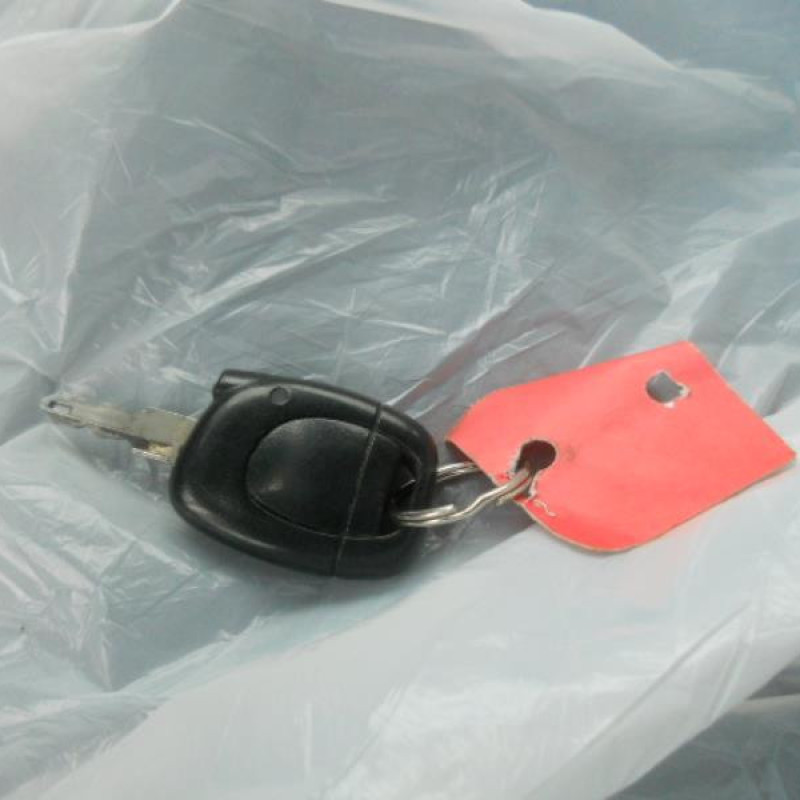 Retroviseur droit RENAULT CLIO 2 Photo n°9