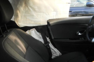 Bouton de warning RENAULT MEGANE 3