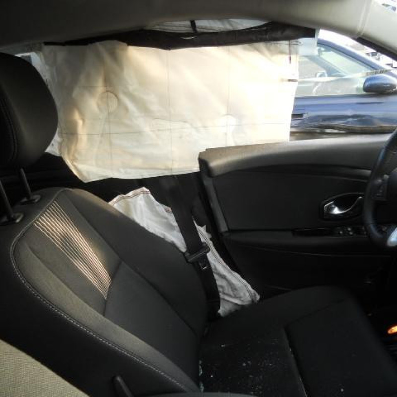 Bouton de warning RENAULT MEGANE 3 Photo n°10