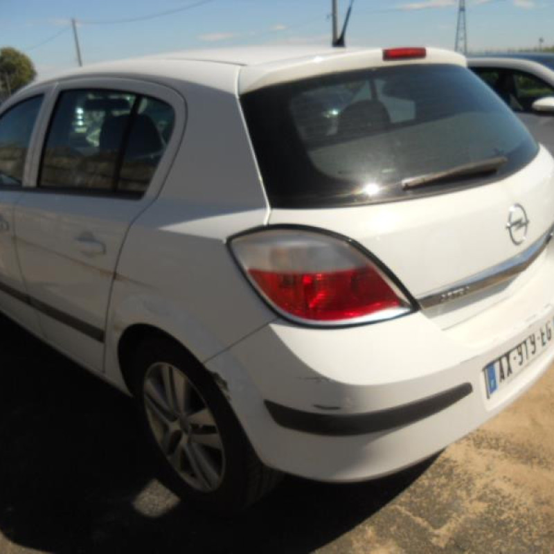 Porte arriere droit OPEL ASTRA H Photo n°7