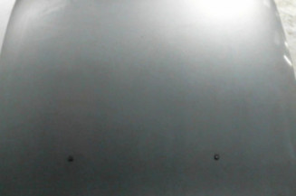 Capot PEUGEOT 607 Photo n°1