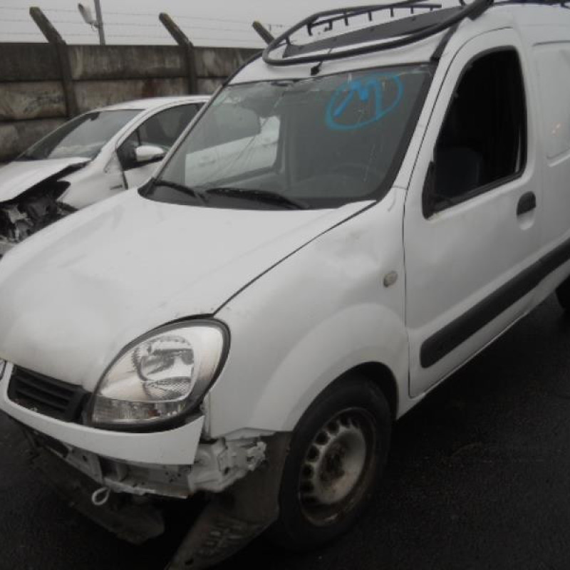 Porte de coffre droit RENAULT KANGOO 1 Photo n°3