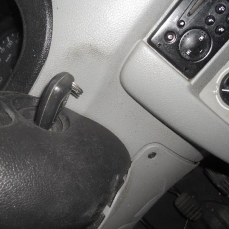 Porte de coffre droit RENAULT KANGOO 1 Photo n°9