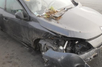 Pivot de moyeu avant gauche RENAULT MEGANE 3