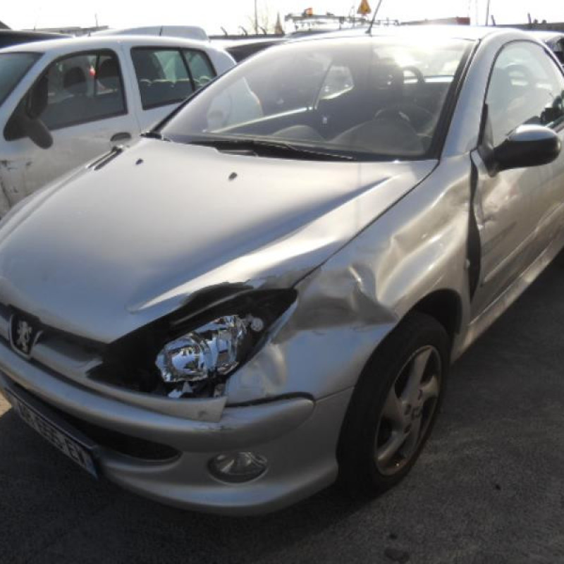 Malle/Hayon arriere PEUGEOT 206 Photo n°5