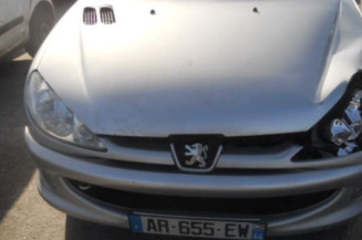 Malle/Hayon arriere PEUGEOT 206