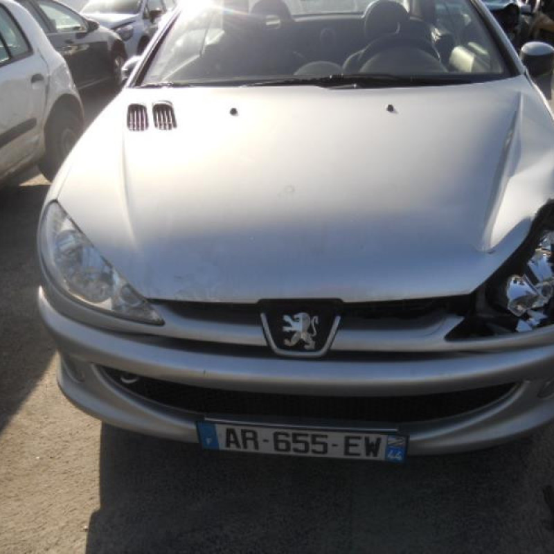 Malle/Hayon arriere PEUGEOT 206 Photo n°6