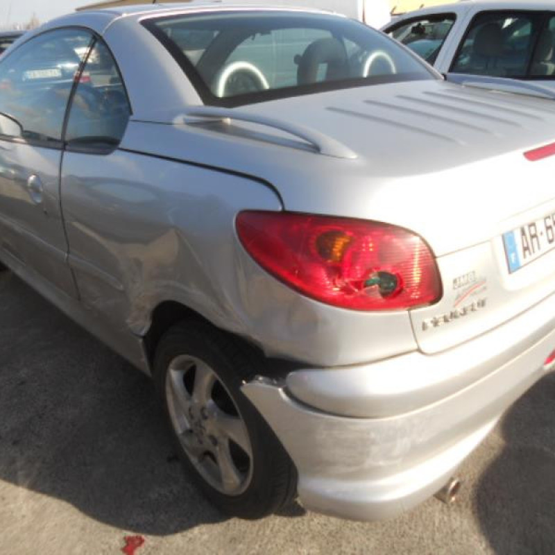 Malle/Hayon arriere PEUGEOT 206 Photo n°9