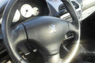 Malle/Hayon arriere PEUGEOT 206