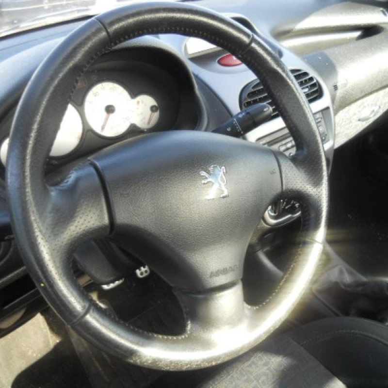 Malle/Hayon arriere PEUGEOT 206 Photo n°10