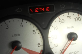 Malle/Hayon arriere PEUGEOT 206