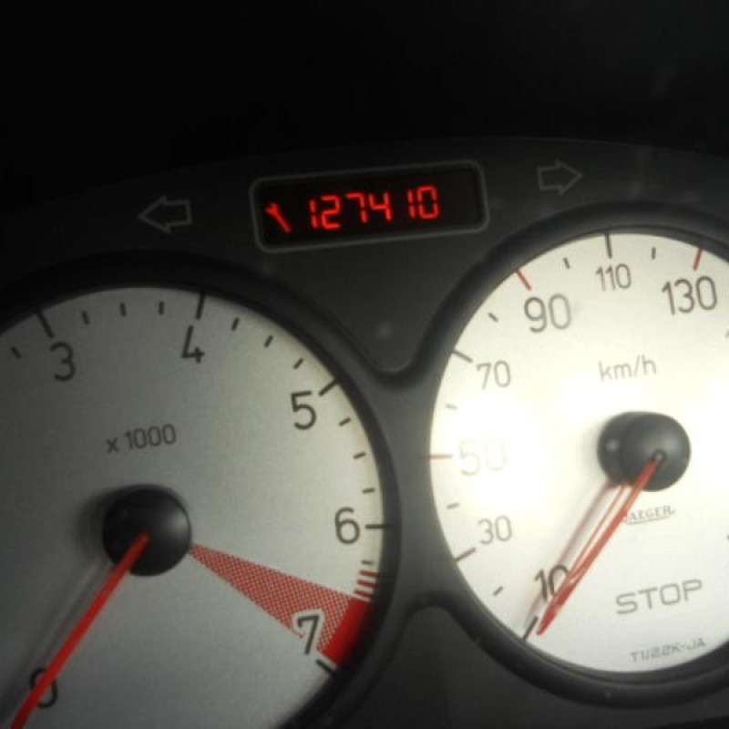 Malle/Hayon arriere PEUGEOT 206 Photo n°12