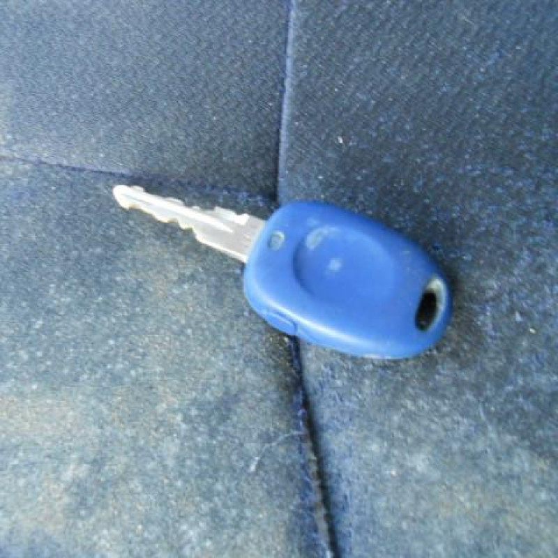Porte arriere gauche FIAT MULTIPLA Photo n°12