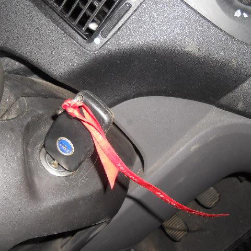 Porte arriere gauche FIAT IDEA Photo n°11