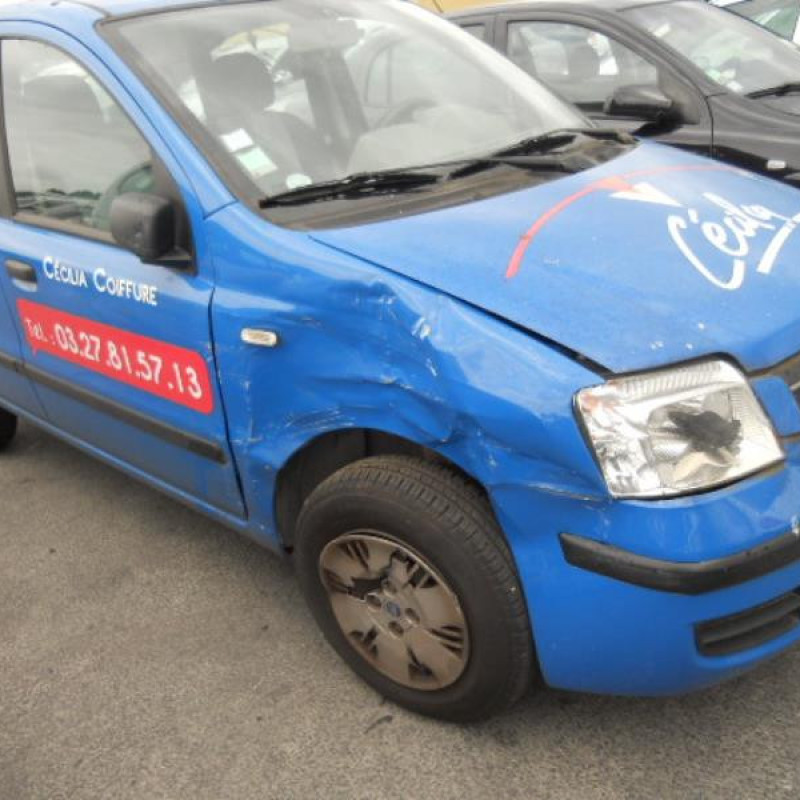 Porte arriere droit FIAT PANDA 2 Photo n°5