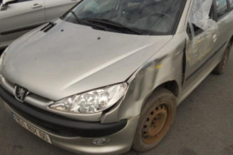 Porte arriere gauche PEUGEOT 206