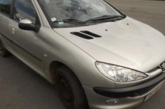 Porte arriere gauche PEUGEOT 206