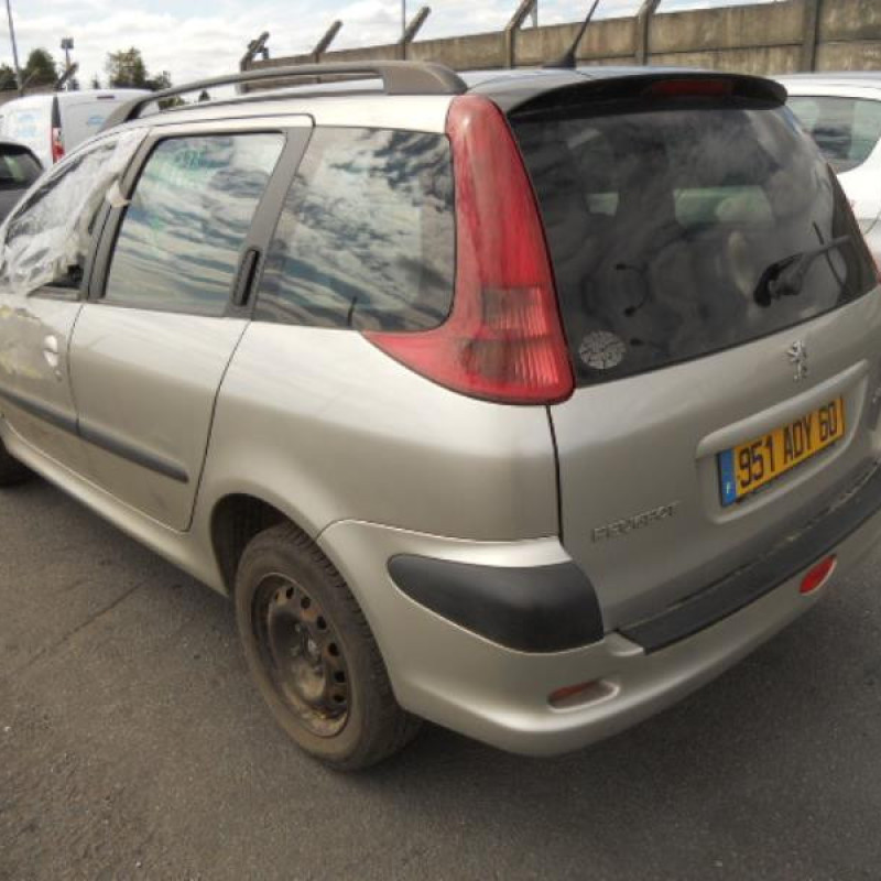 Porte arriere gauche PEUGEOT 206 Photo n°6