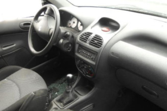 Porte arriere gauche PEUGEOT 206