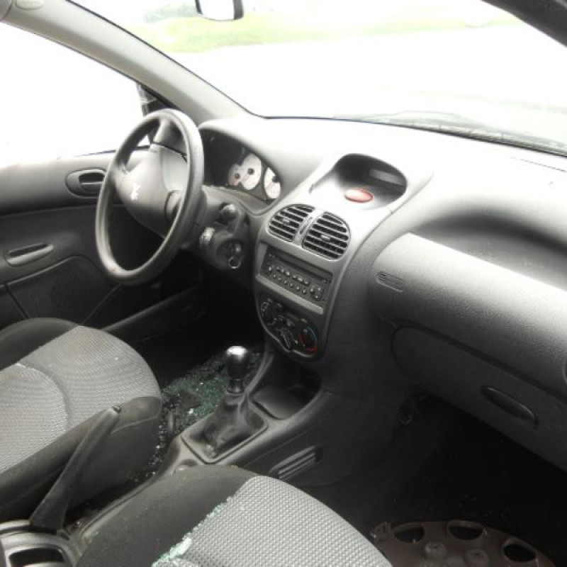 Porte arriere gauche PEUGEOT 206 Photo n°7