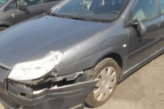 Porte arriere gauche CITROEN C5 1