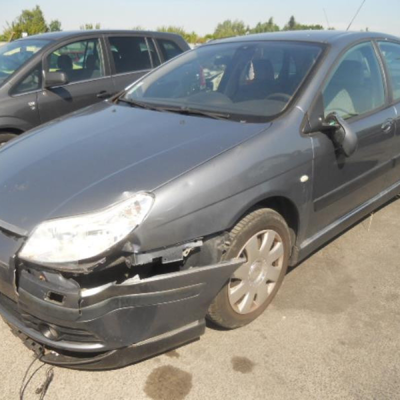 Porte arriere gauche CITROEN C5 1 Photo n°3