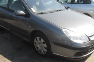 Porte arriere gauche CITROEN C5 1