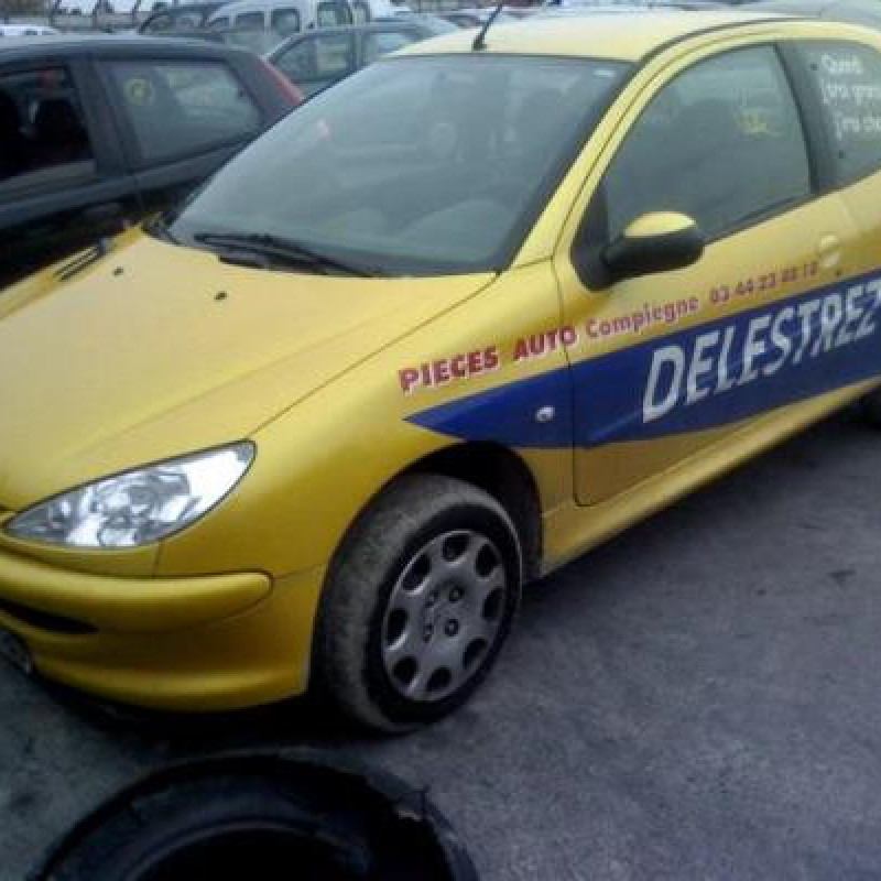 Bouton de warning PEUGEOT 206 Photo n°4