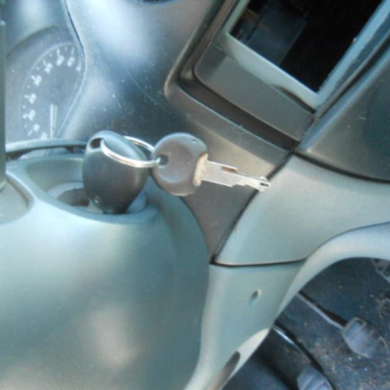 Alternateur RENAULT SCENIC 1 Photo n°10