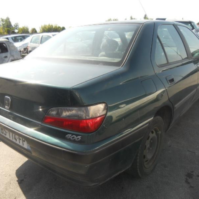 Calandre PEUGEOT 406 Photo n°4