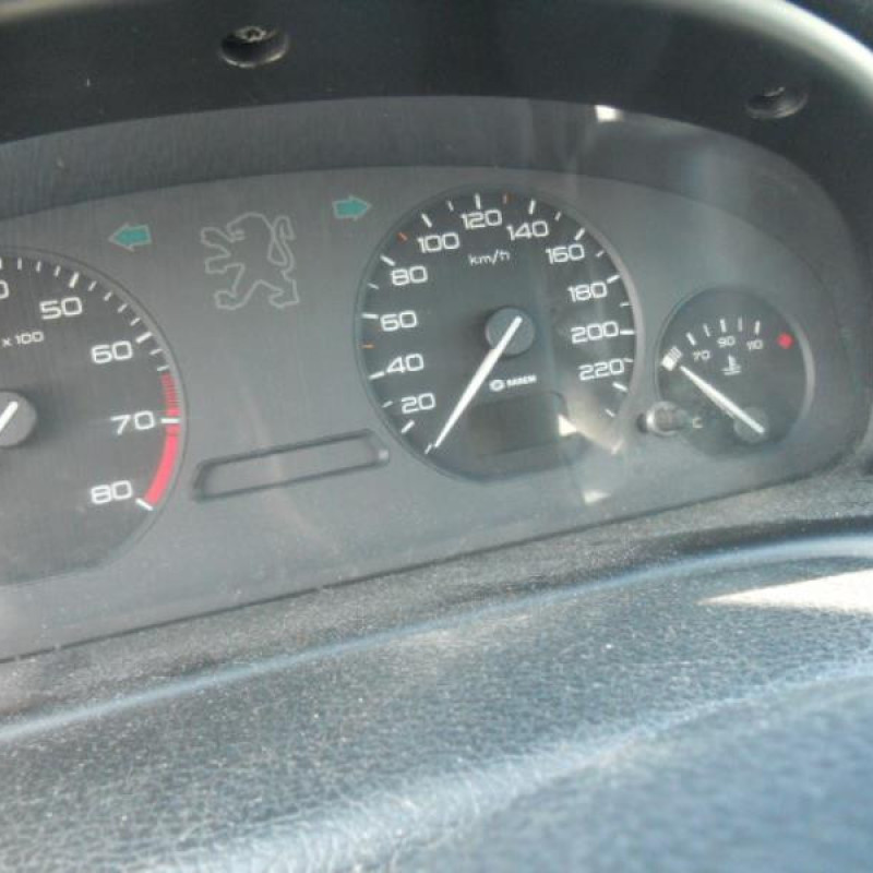 Calandre PEUGEOT 406 Photo n°9
