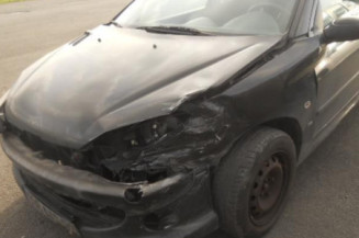 Custode arriere droit PEUGEOT 206 Photo n°1