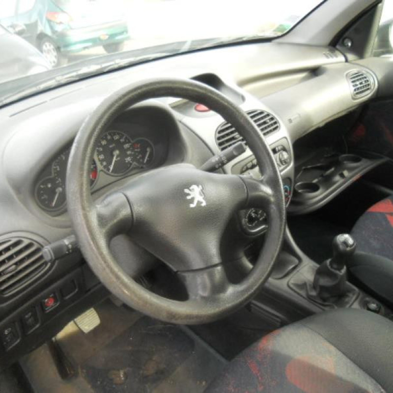Custode arriere droit PEUGEOT 206 Photo n°5