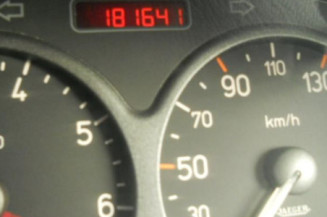 Custode arriere droit PEUGEOT 206