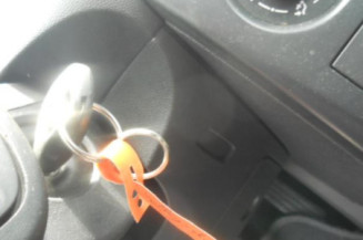 Bouton de warning RENAULT CLIO 3