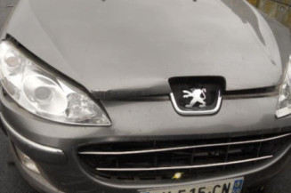 Poignee interieur avant gauche PEUGEOT 407