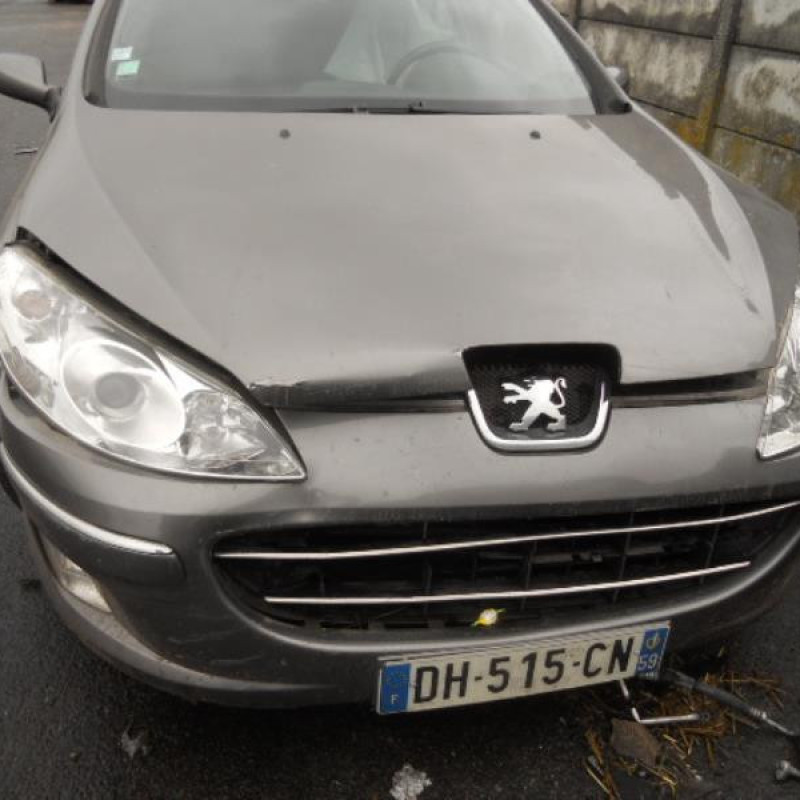 Poignee interieur avant gauche PEUGEOT 407 Photo n°5