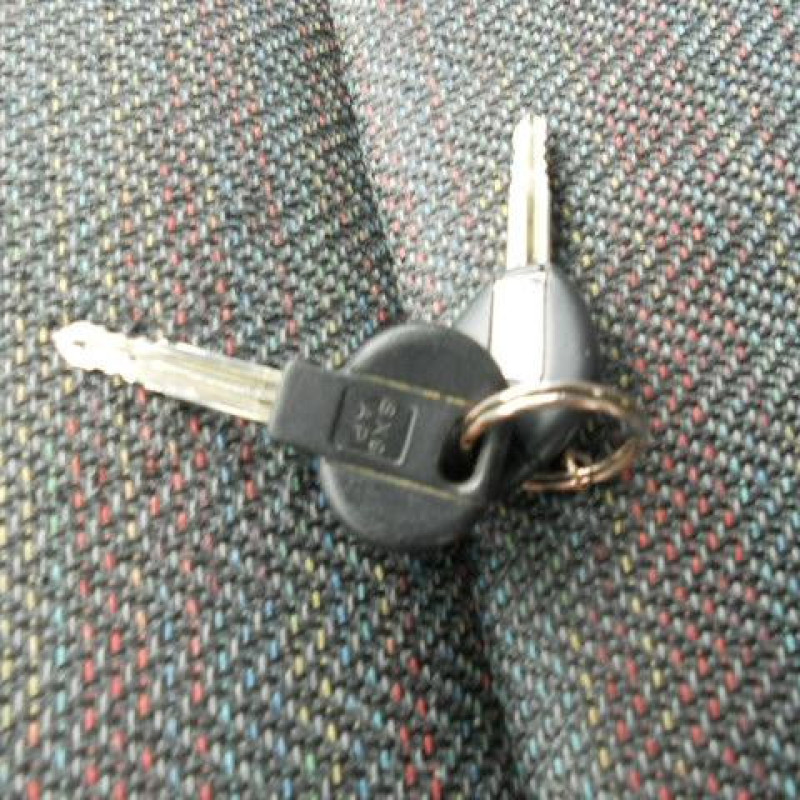 Porte avant gauche FIAT ULYSSE 1 Photo n°9
