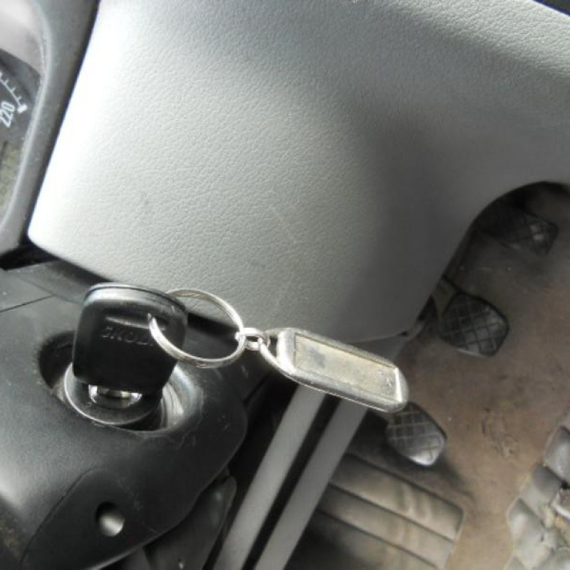 Porte avant droit SKODA OCTAVIA 1 Photo n°10
