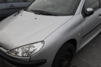 Bouton de warning PEUGEOT 206