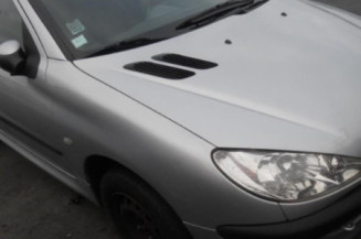 Bouton de warning PEUGEOT 206