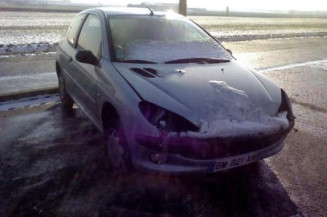Anti brouillard gauche (feux) PEUGEOT 206