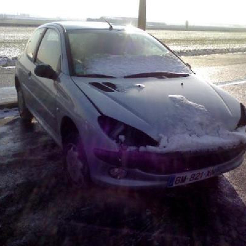 Anti brouillard gauche (feux) PEUGEOT 206 Photo n°4