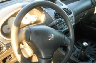 Bouton de warning PEUGEOT 206