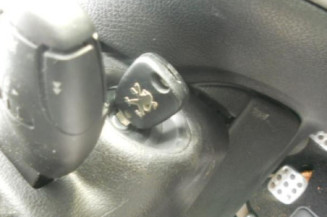 Bouton de warning PEUGEOT 206