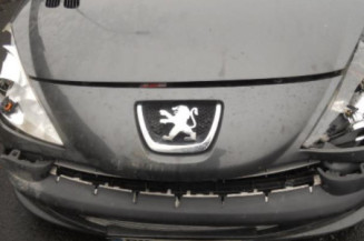 Bouton de warning PEUGEOT 206+