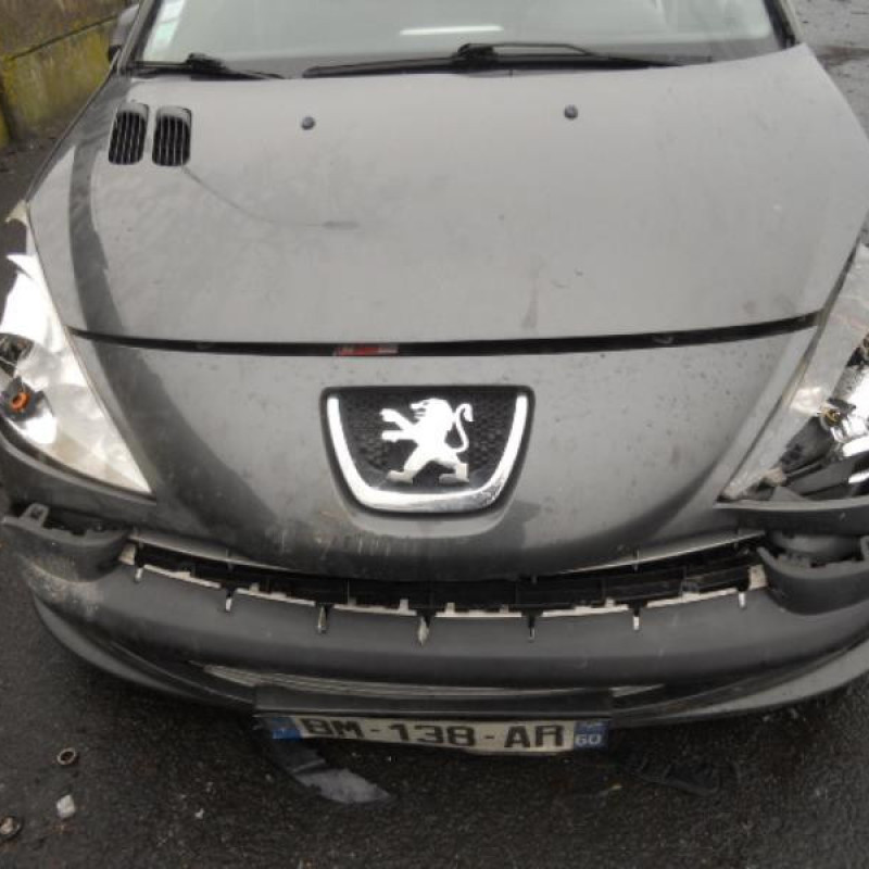 Bouton de warning PEUGEOT 206+ Photo n°5