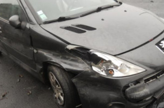 Bouton de warning PEUGEOT 206+