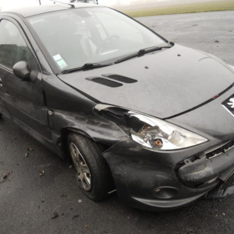 Bouton de warning PEUGEOT 206+ Photo n°6